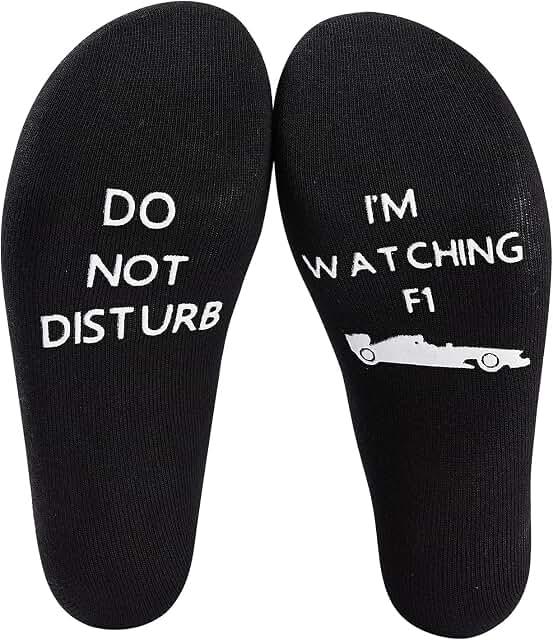 "Do Not Disturb — I'm Watching F1" Novelty Sign